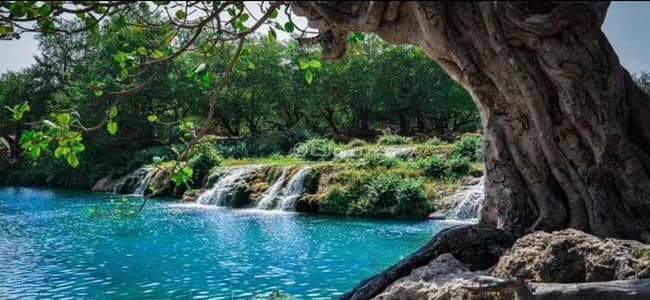 1 Bedroom Apartment for Rent in Salalah, Dhofar - 1 Bedroom Apartment For Rent Salalah, Dhofar