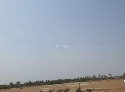 Residential Land for Rent in Barka, Al Batinah - Residential Land for Rent in Barka, Al Batinah