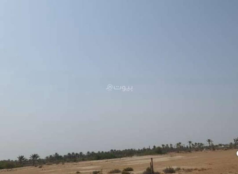 Residential Land for Rent in Barka, Al Batinah Residential Land for Rent in Barka, Al Batinah