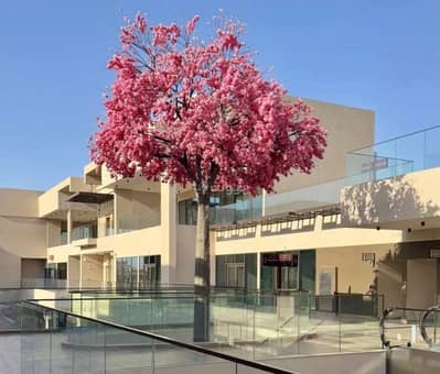 Other Commercial for Rent in Azaiba, Muscat - Other Commercial For Rent Azaiba Muscat