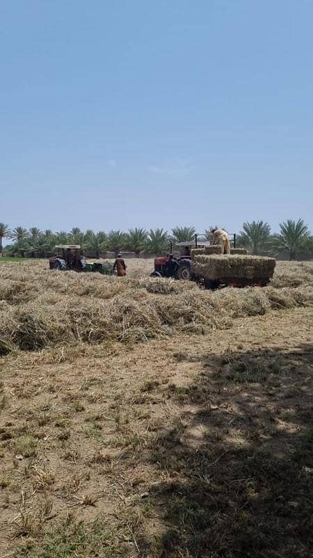 أرض سكنية للبيع في بركة، الباطنة أرض سكنية للبيع في بركة، الباطنة