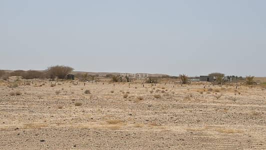 Residential Land for Sale in Ibri, Al Dhahirah - Residential Land For Sale in Ibri, Al Dhahirah