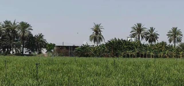 Residential Land for Sale in Suwaiq, Al Batinah - Residential Land for Sale in Suwaiq, Al Batinah