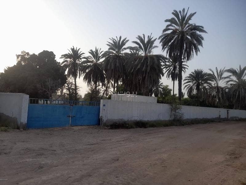 أرض سكنية للايجار في السيب، مسقط أرض سكنية للايجار في السيب، مسقط