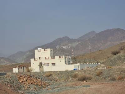 فیلا 3 غرف نوم للايجار في المسفاة، مسقط - فيلا مكونة من 3 غرف نوم للإيجار في ميفه، مسقط