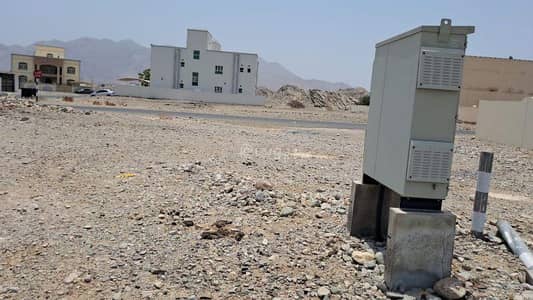 ارض سكنية  للبيع في العامرات، مسقط - أرض سكنية للبيع في العامرات، مسقط