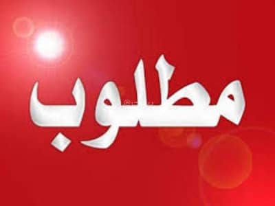 فلیٹ 2 غرفة نوم للايجار في العذيبة، مسقط - شقة من غرفتي نوم للإيجار في العذيبة، مسقط