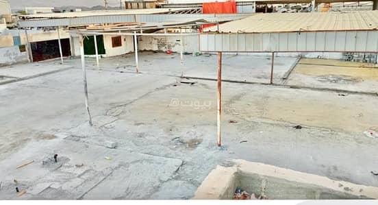 ارض سكنية  للايجار في المسفاة، مسقط - أرض سكنية للإيجار في مصفح، مسقط