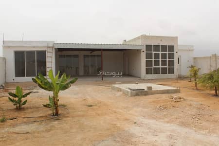 Residential Land for Sale in Salalah, Dhofar - Residential Land For Sale in Salalah, Dhofar