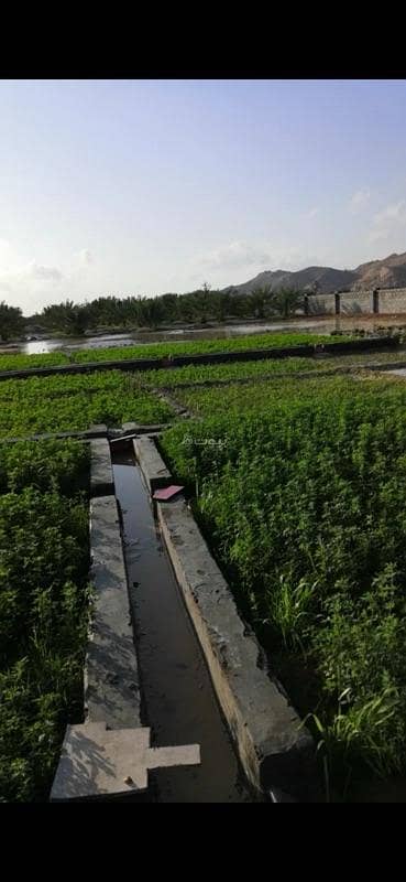 Residential Land for Sale in Al Qabil, Al Sharqiya - Residential Land for Sale in Al Qabil, Al Sharqiya