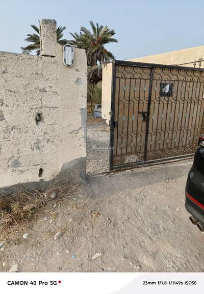 ارض سكنية  للايجار في المصنعة، الباطنة - أرض سكنية للإيجار في المسنا، الباطنة