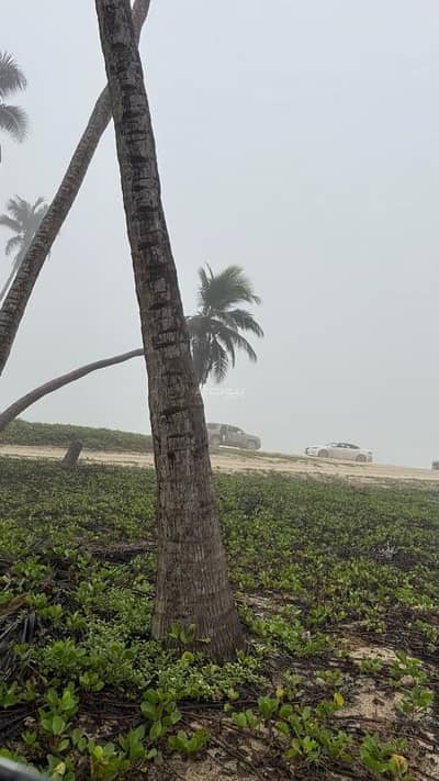 7 Bedroom Villa for Rent in Salalah, Dhofar - 7 Bedrooms Villa For Rent in Salalah, Dhofar
