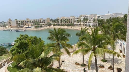 1 Bedroom Flat for Rent in Salalah, Dhofar - 1 Bedroom Apartment For Rent Salalah, Dhofar
