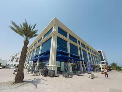 عقارات تجارية اخرى  للايجار في القرم، مسقط - عقار تجاري للإيجار في قورم، مسقط