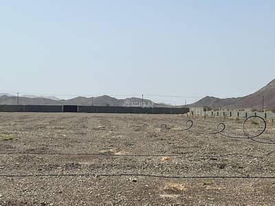 Residential Land for Sale in Al Maabilah, Muscat - Residential Land For Sale in Al Maabilah, Muscat