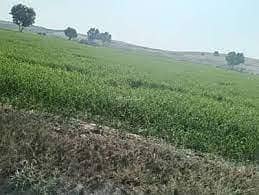 Residential Land for Sale in Sur, Al Sharqiya - Residential Land for Sale in Sur, Al Sharqiya