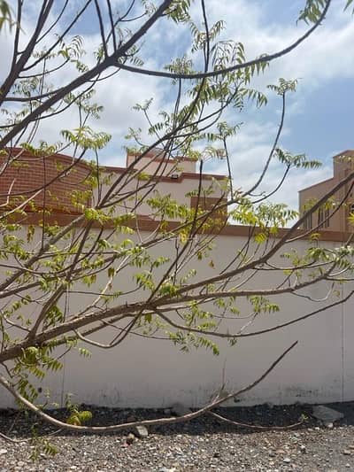 3 Bedroom Villa for Sale in Nizwa, Al Dakhiliya - 3 Bedrooms Villa For Sale in Nizwa, Al Dakhiliya