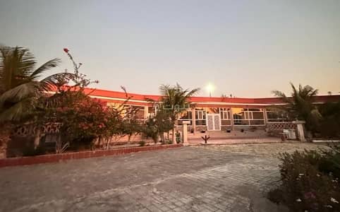 فیلا 4 غرف نوم للبيع في بركاء، الباطنة - فيلا مكونة من 4 غرف نوم للبيع في باركا، الباطنة