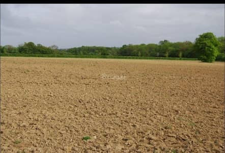 Residential Land for Rent in Nizwa, Al Dakhiliya - Residential Land For Rent in Nizwa, Al Dakhiliya