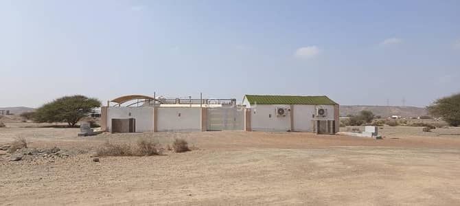 4 Bedroom Chalet for Sale in Sohar, Al Batinah - 4 Bedrooms Chalet For Sale in Sohar, Al Batinah