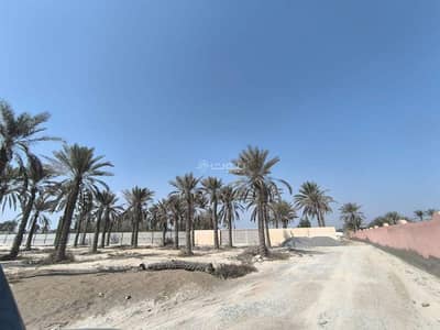 ارض سكنية  للايجار في بركاء، الباطنة - أرض سكنية للإيجار في بركة، الباطنة