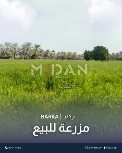 ارض سكنية  للبيع في بركاء، الباطنة - أرض سكنية للبيع في البَرْكَة، البَاطِنَة