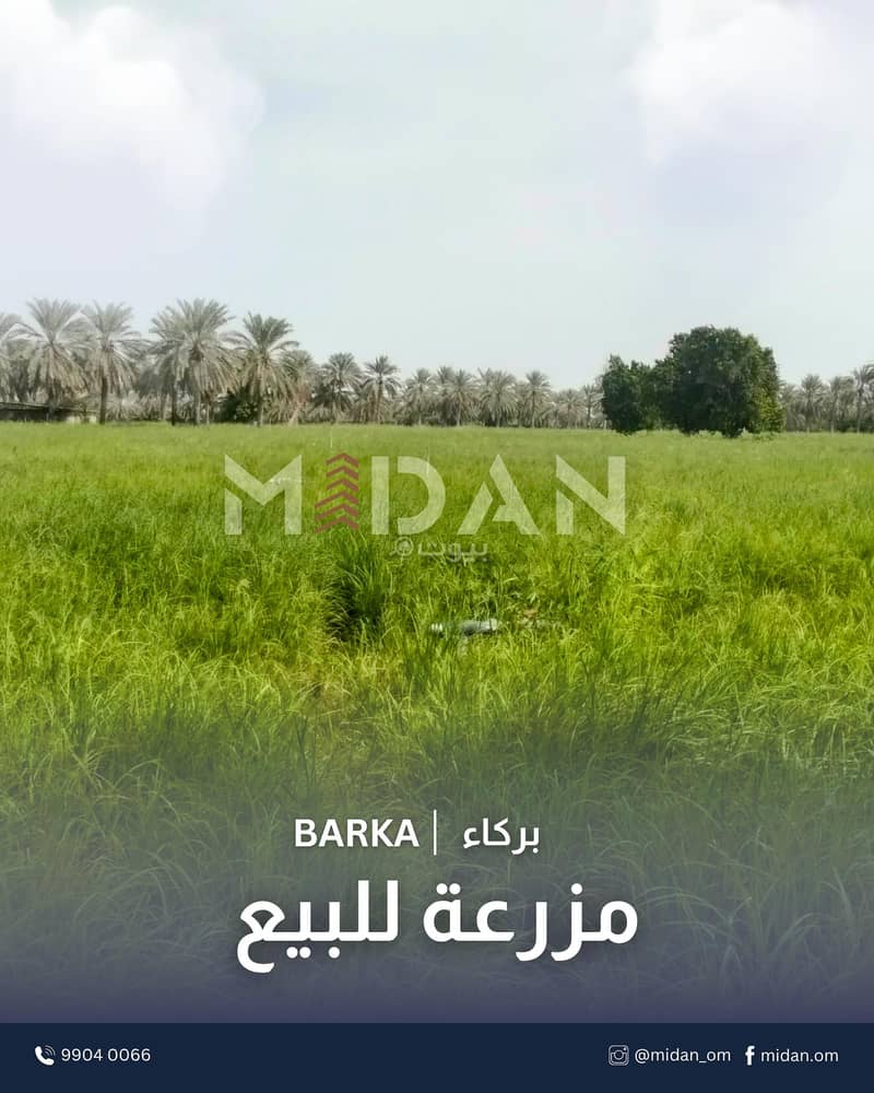 أرض سكنية للبيع في البَرْكَة، البَاطِنَة