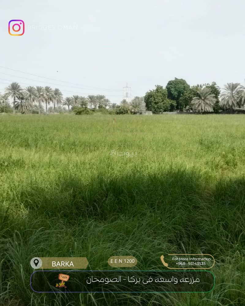 أرض سكنية للبيع في بركة، الباطنة