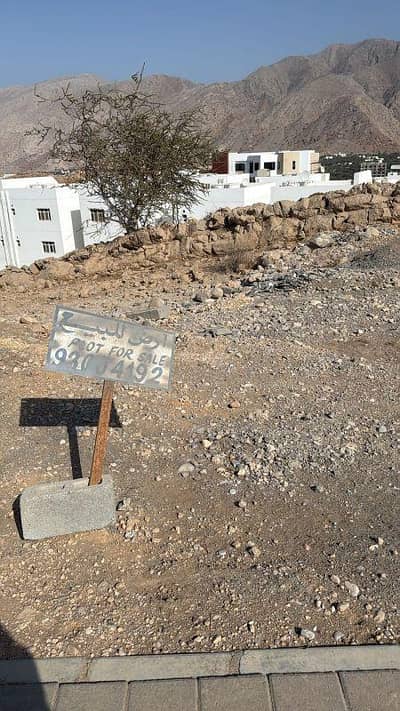 ارض سكنية  للبيع في مدينة السلطان قابوس، مسقط - أرض سكنية للبيع في الهيل، مسقط