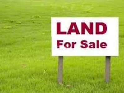 Residential Land for Sale in Suwaiq, Al Batinah - Residential Land For Sale in Suwaiq, Al Batinah Residential Land for Sale in Suwaiq, Al Batinah - Residential Land For Sale in Suwaiq, Al Batinah