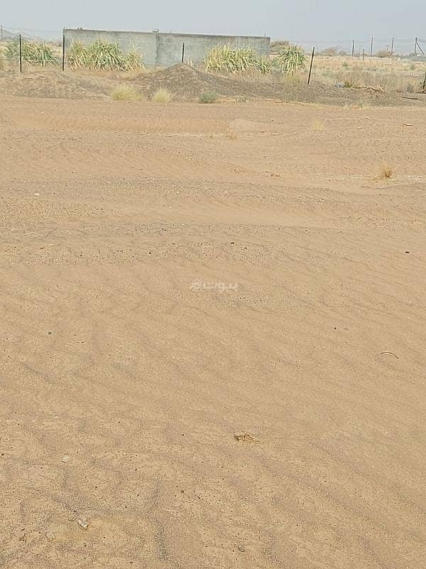 أرض سكنية للإيجار في إبراء، الشرقية أرض سكنية للإيجار في إبراء، الشرقية