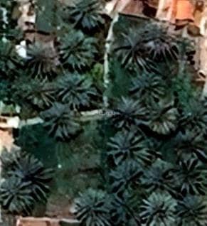 Residential Land For Sale in Nizwa, Al Dakhiliya