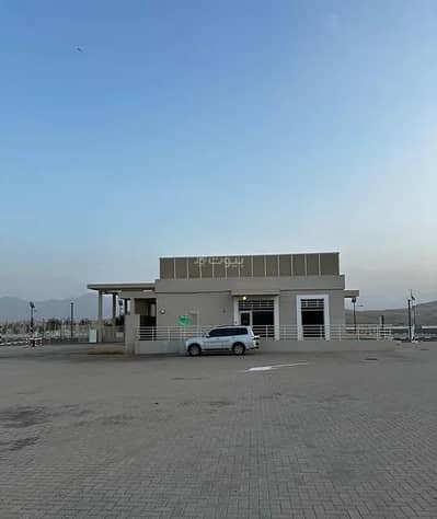 عقارات تجارية اخرى  للايجار في غلا، مسقط - ممتلكات تجارية أخرى للإيجار في غلا، مسقط