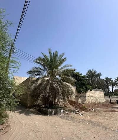 6 Bedroom Villa for Sale in Al Khoud, Muscat - 6 Bedrooms Villa For Sale Al Khoud, Muscat