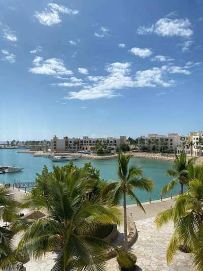 3 Bedroom Flat for Rent in Salalah, Dhofar - 3 Bedroom Apartment For Rent Salalah, Dhofar