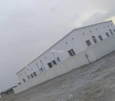 مجمع تجاري  للبيع في صحار، الباطنة - مبنى تجاري للبيع في صحار، الباطنة