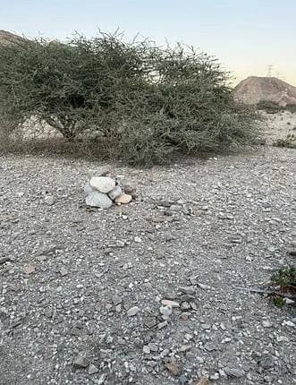 ارض سكنية  للبيع في العامرات، مسقط - أرض سكنية للبيع في الأمارات، مسقط