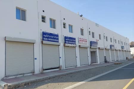 عقارات تجارية اخرى  للايجار في العامرات، مسقط - أرض تجارية 0 غرفة للإيجار في العامرات، مسقط