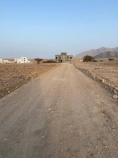 ارض سكنية  للبيع في العامرات، مسقط - أرض سكنية للبيع في العامرات، مسقط