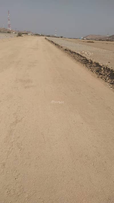 ارض سكنية  للبيع في العامرات، مسقط - أرض سكنية للبيع في العمارات، مسقط
