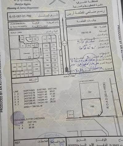 ارض سكنية  للبيع في جعلان بني بو علي، الشرقية - أرض سكنية للبيع في الجعلان بني بوعلي، الشرقية