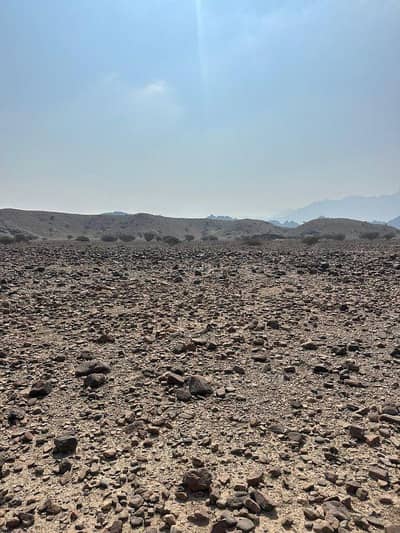 ارض سكنية  للبيع في العامرات، مسقط - أرض سكنية للبيع في الأمارات، مسقط