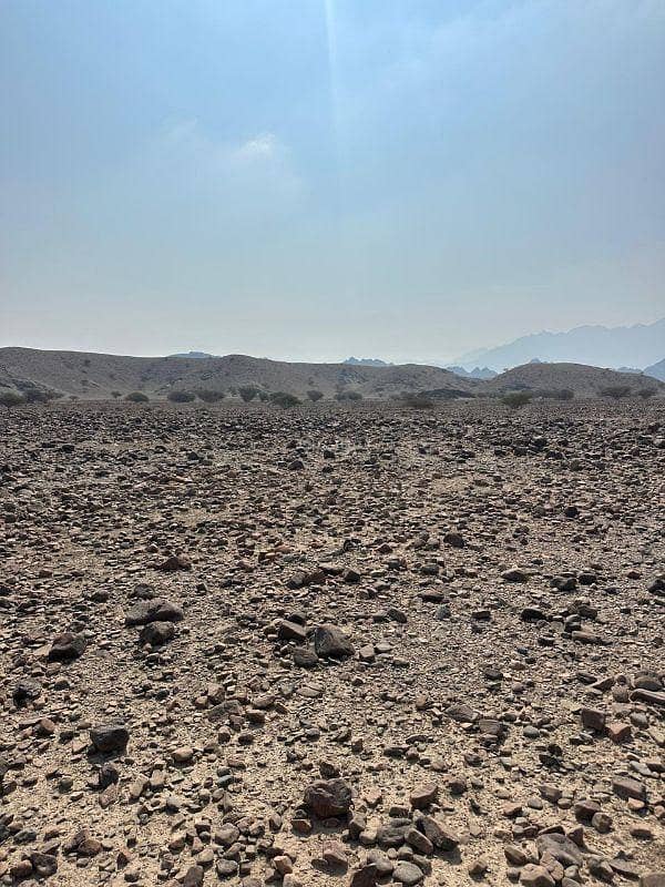 أرض سكنية للبيع في الأمارات، مسقط