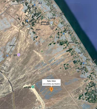 ارض سكنية  للبيع في صحار، الباطنة - أرض سكنية للبيع في صحار ، الباطنة