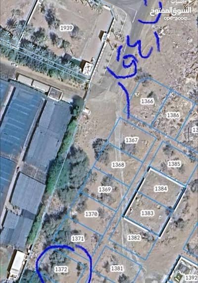 ارض سكنية  للبيع في بركاء، الباطنة - أرض سكنية للبيع في بركة، الباطنة