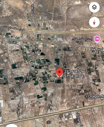 ارض سكنية  للبيع في بركاء، الباطنة - أرض سكنية للبيع في باركا، الباطنة