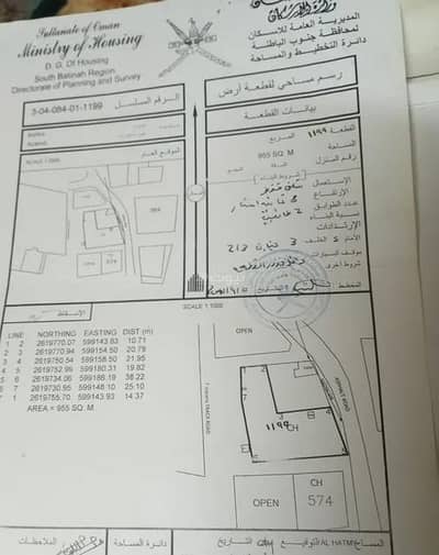 ارض سكنية  للبيع في بركاء، الباطنة - أرض سكنية للبيع في بركا، الباطنة