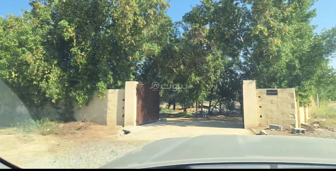 شاليه بغرفة نوم واحدة للبيع في السويق، الباطنة شاليه بغرفة نوم واحدة للبيع في السويق، الباطنة