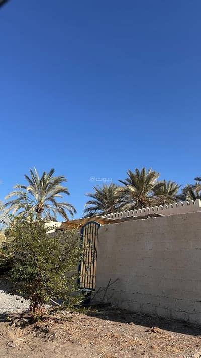 مجمع تجاري  للايجار في نخل، الباطنة - مبنى تجاري للإيجار في نخل، الباطنة