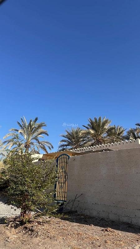 مبنى تجاري للإيجار في نخل، الباطنة